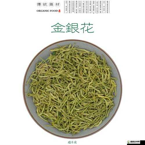 银色器物TXL 金银花的材质有何特点：深入探究其独特属性